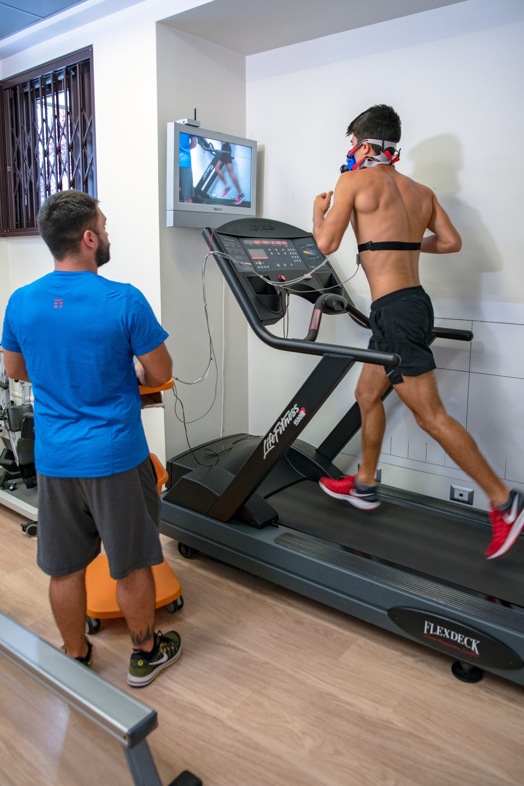 Fisioterapia World Medicine